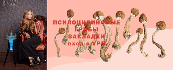 стаф Лихославль
