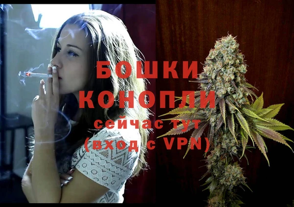 стаф Лихославль