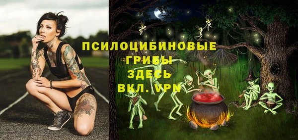 стаф Лихославль