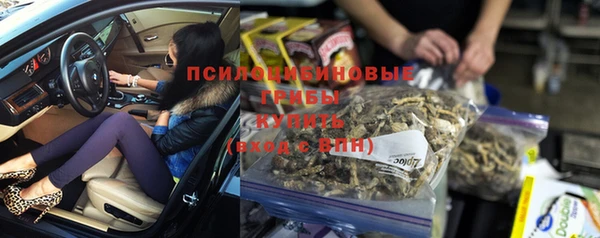 стаф Лихославль