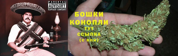 стаф Лихославль
