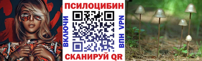 купить наркотик  Сычёвка  Псилоцибиновые грибы Psilocybine cubensis 